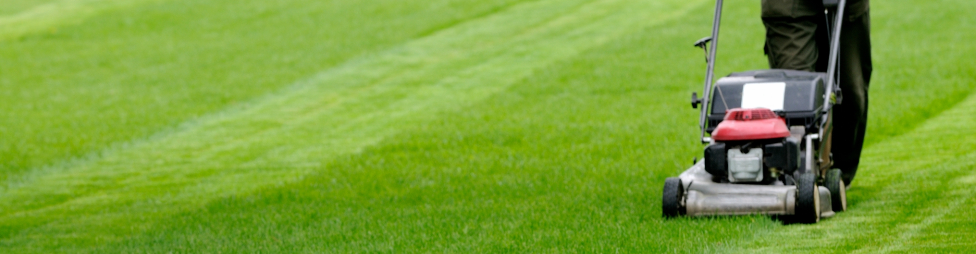 Ramirez Lawn Service - Lawn Mowing Fresno, Clovis, Kerman