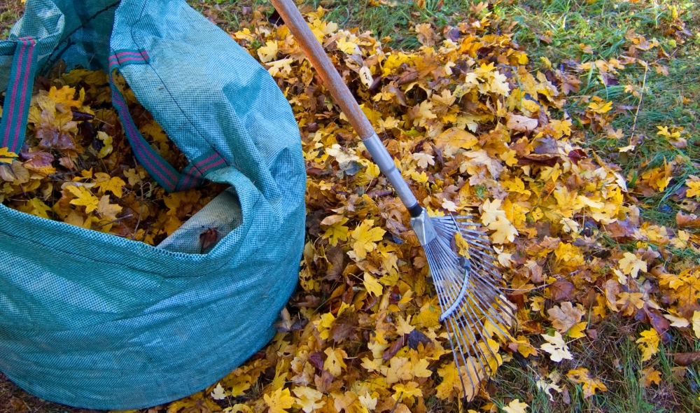 Cleanups - Anything Relative To Clean Up Fresno, Clovis, Kerman