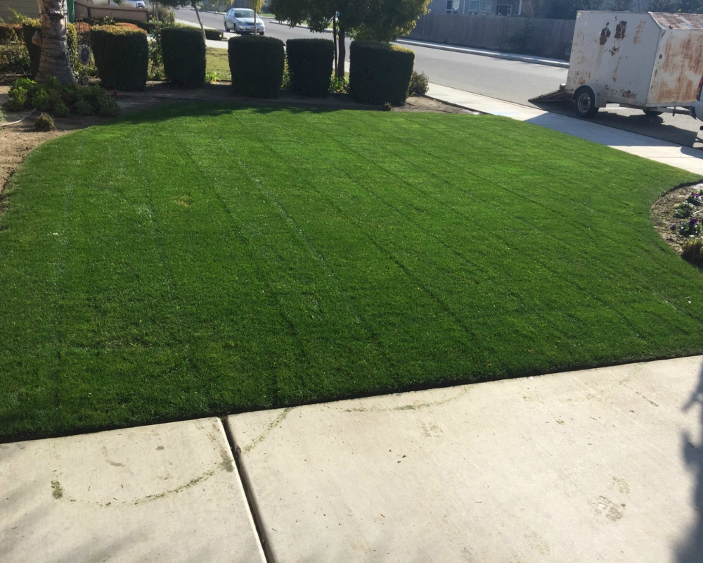 Lawn Mowing Fresno, Clovis, Kerman